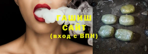 индика Богородицк