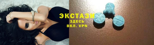 индика Богородицк