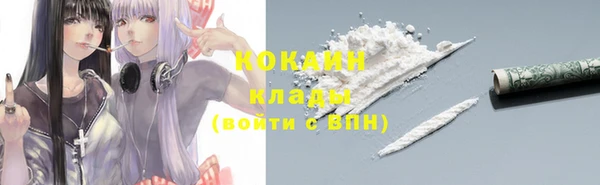 прущие крисы Белокуриха