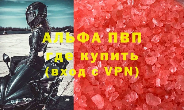 индика Богородицк