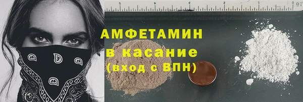 индика Богородицк